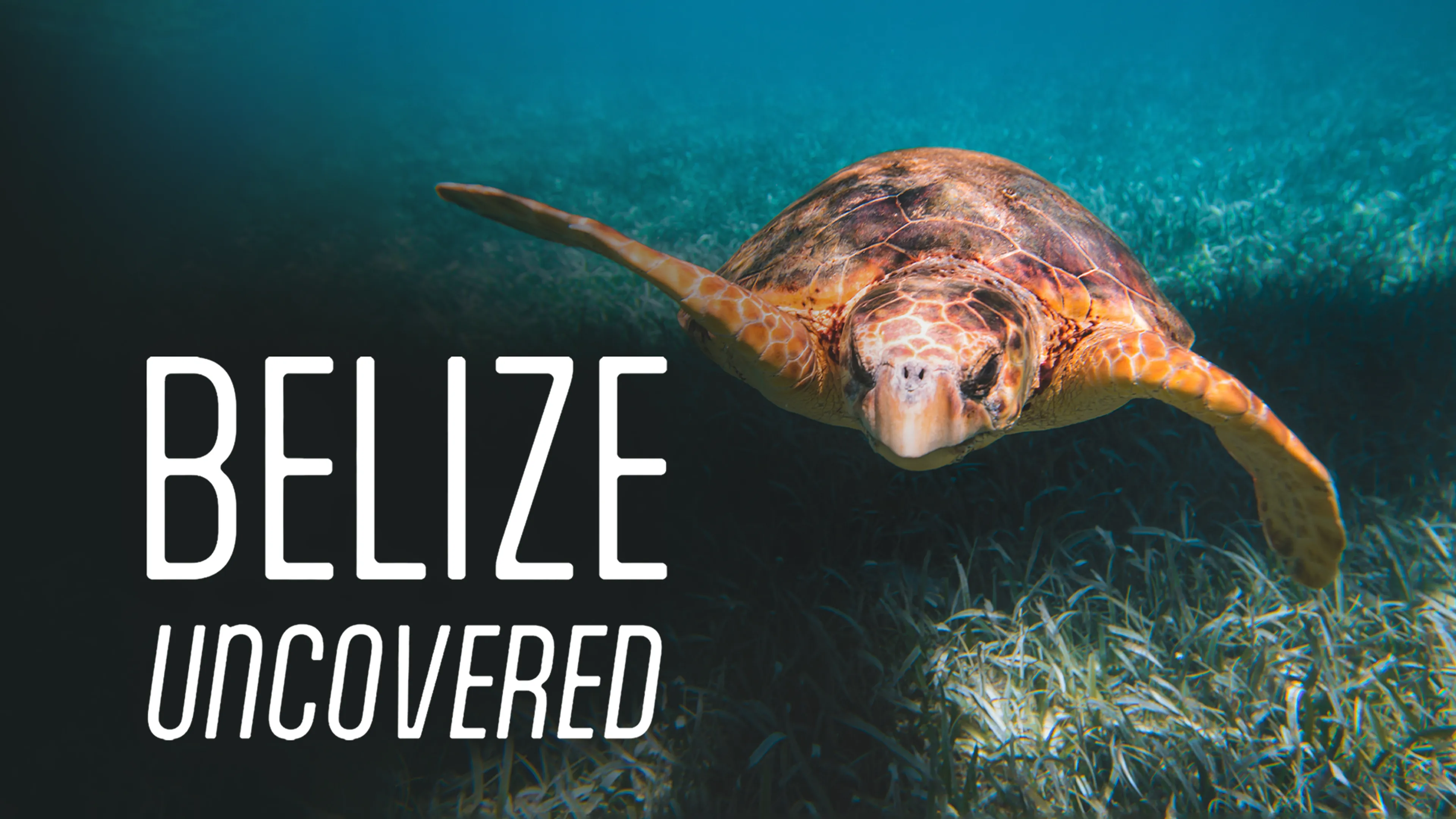 Belize Uncovered poster
